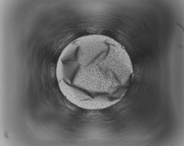 X0000098201154200805221535