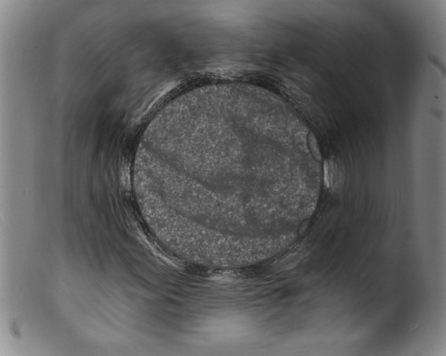 X0000098201155200805221534