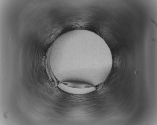 X0000098201156200805221534