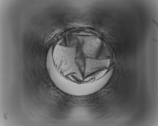X0000098201157200805221534