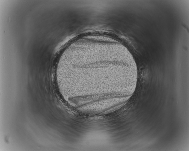 X0000098201159200805221534