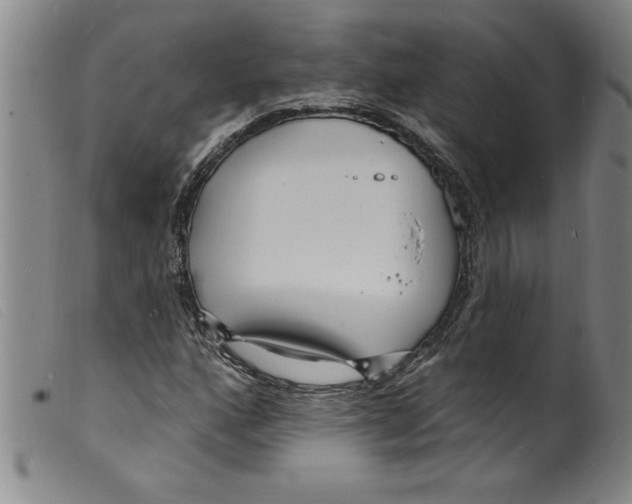 X0000098201160200805221534