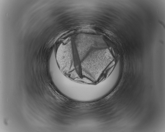 X0000098201161200805221534