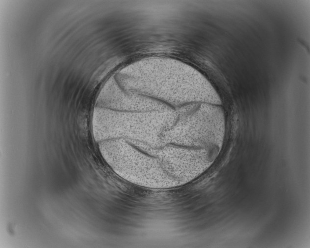 X0000098201162200805221534