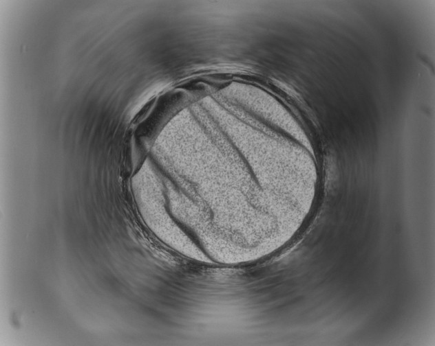 X0000098201163200805221534