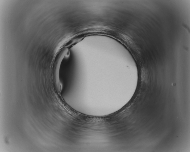 X0000098201164200805221534