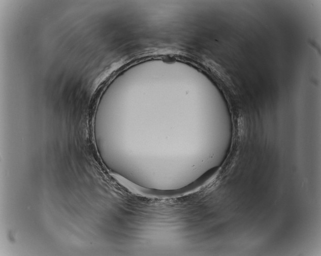 X0000098201165200805221534