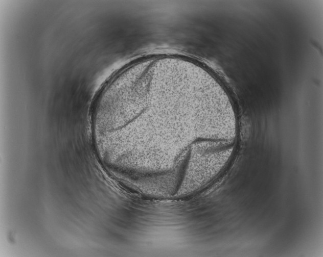 X0000098201167200805221534