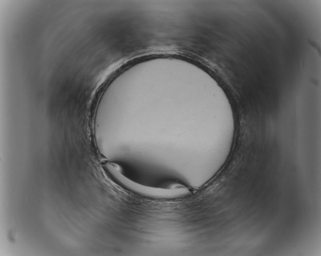 X0000098201168200805221534