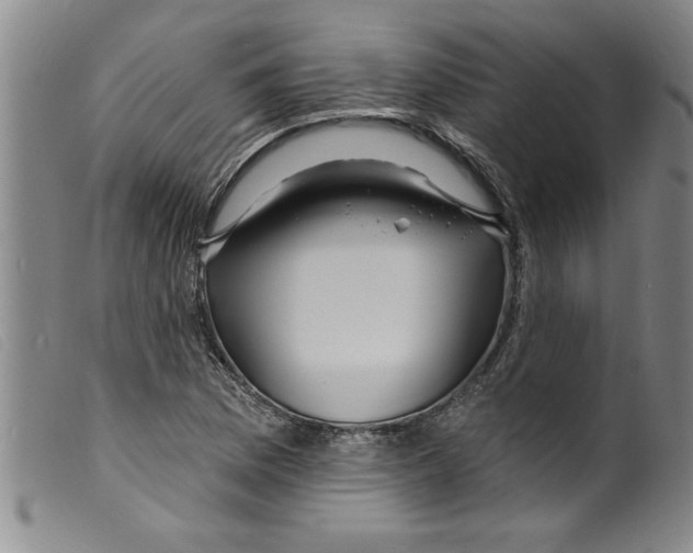 X0000098201169200805221534