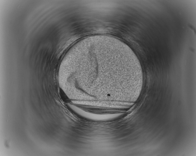 X0000098201170200805221534