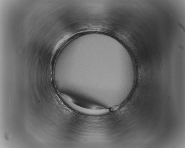 X0000098201172200805221534