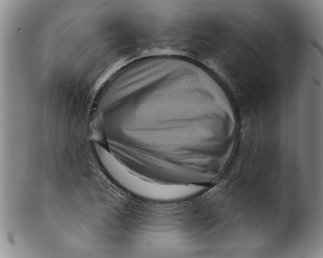 X0000098201173200805221534