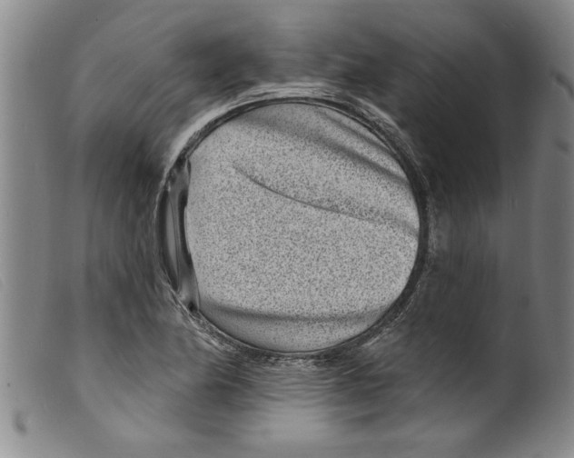X0000098201174200805221534