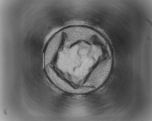 X0000098201175200805221534