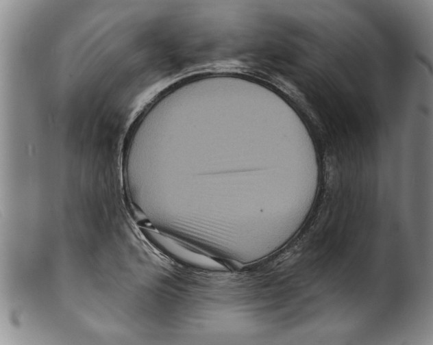 X0000098201176200805221534