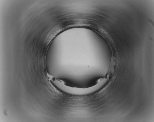 X0000098201177200805221534