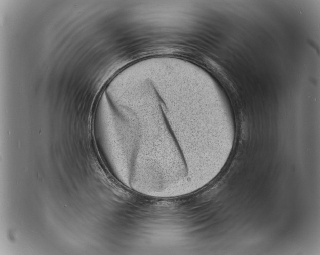X0000098201178200805221534
