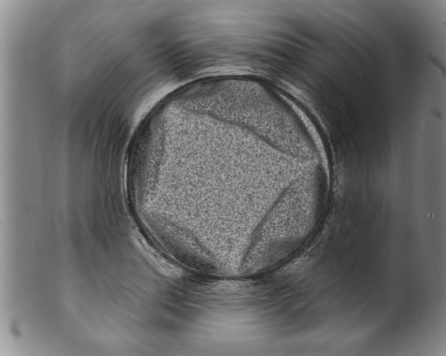 X0000098201179200805221534