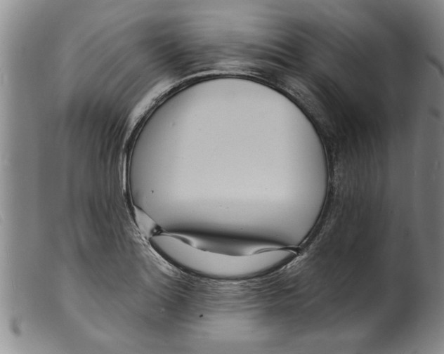 X0000098201180200805221534