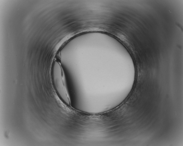 X0000098201181200805221534