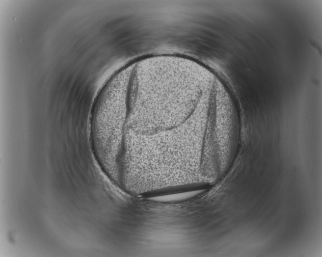X0000098201183200805221534