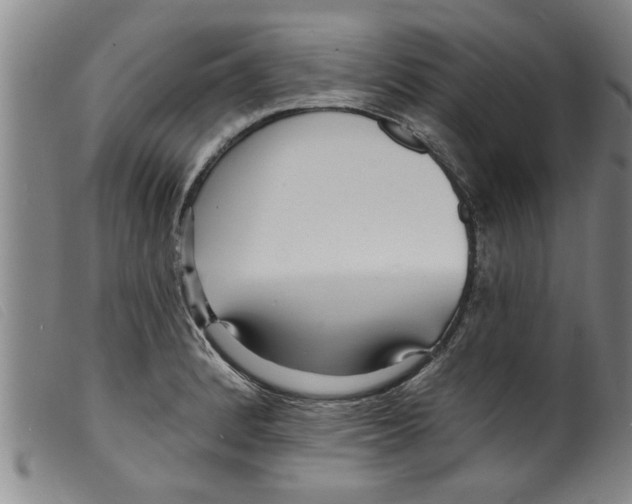 X0000098201184200805221534