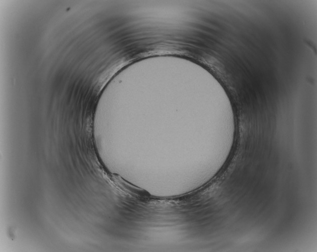 X0000098201185200805221534