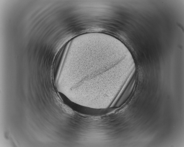 X0000098201186200805221534
