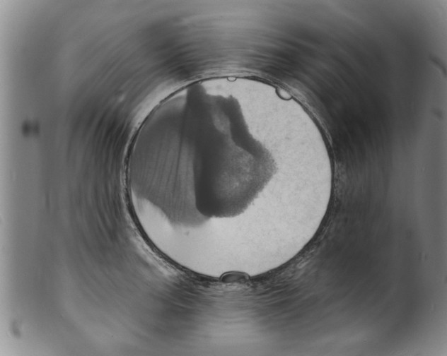 X0000098201187200805221534