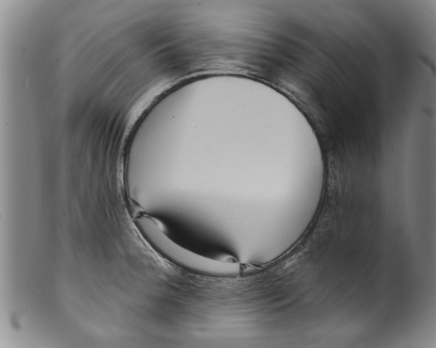 X0000098201188200805221534