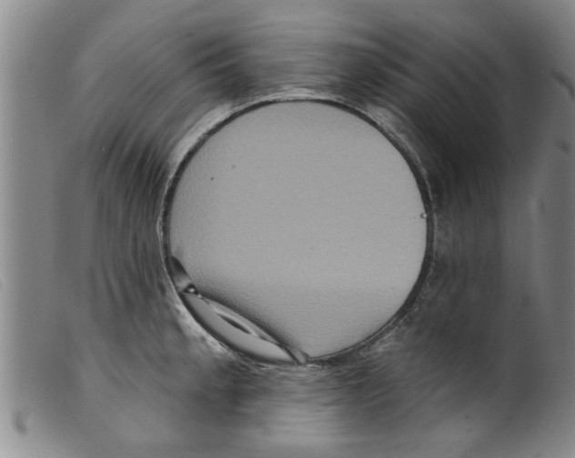 X0000098201189200805221534