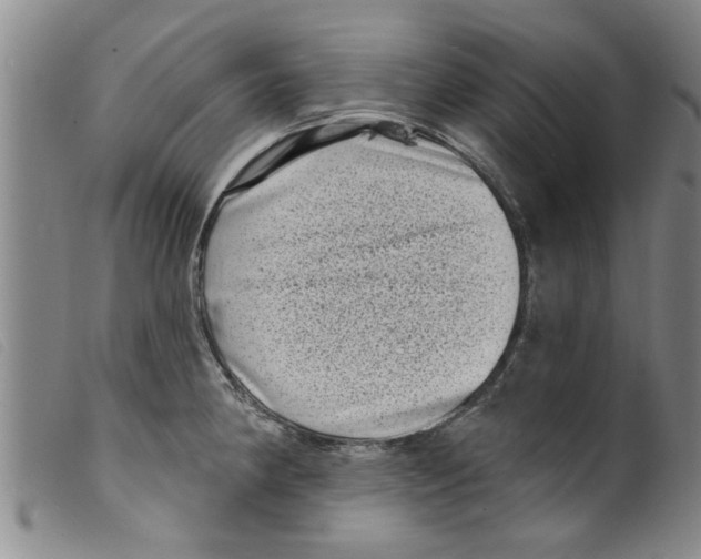 X0000098201190200805221534