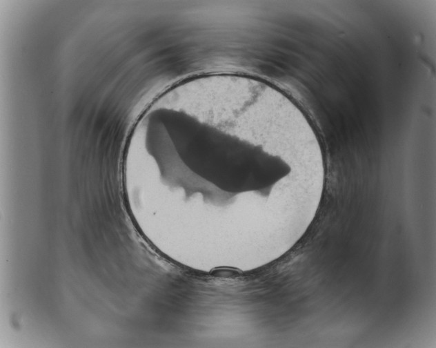 X0000098201191200805221534