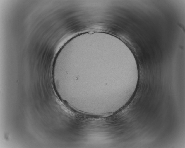 X0000098201192200805221534