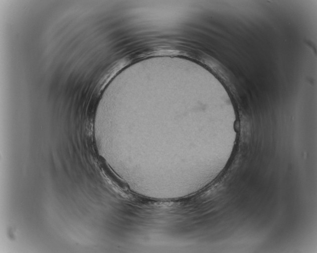 X0000098201193200805221534