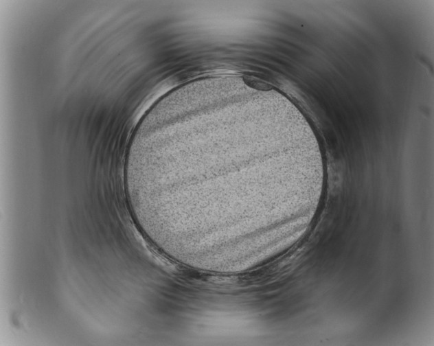 X0000098201194200805221534