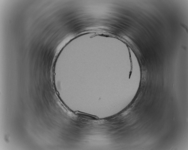X0000098201196200805221534