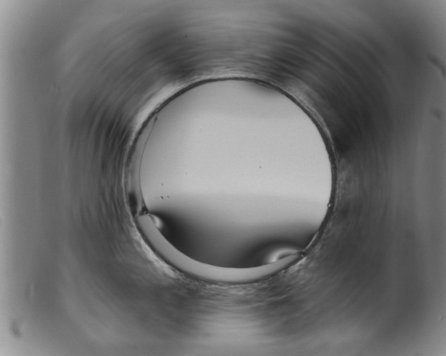 X0000098201197200805221534
