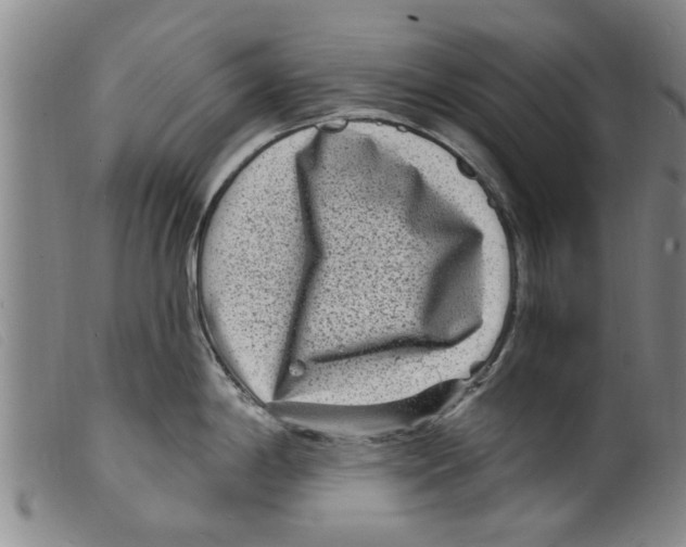 X0000098201198200805221534