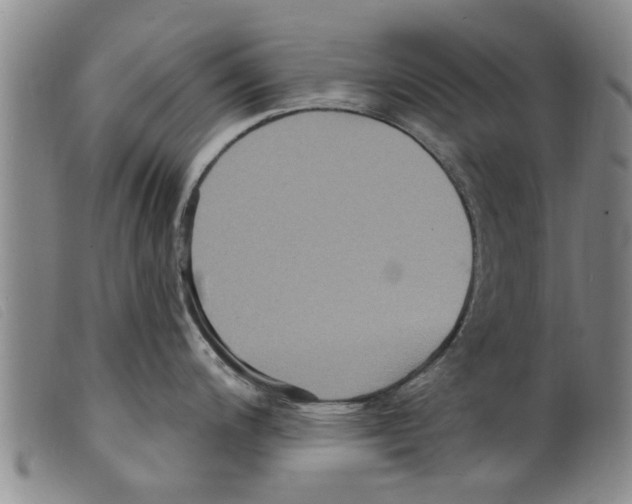 X0000098201200200805221534