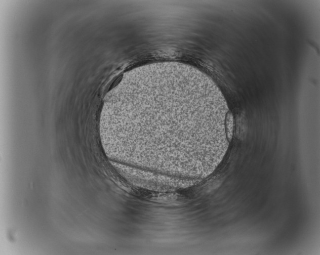 X0000098201201200805221533