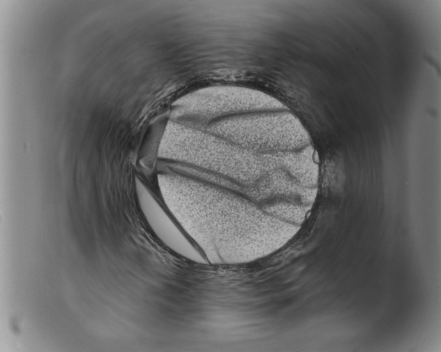 X0000098201202200805221533