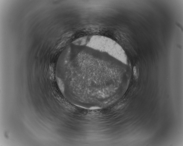 X0000098201203200805221533
