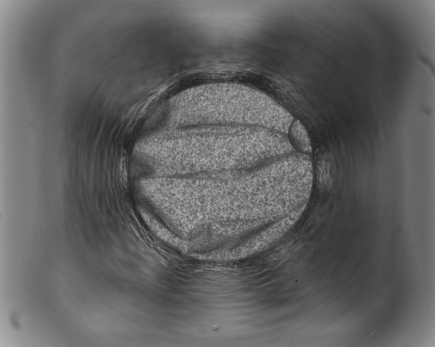 X0000098201204200805221533