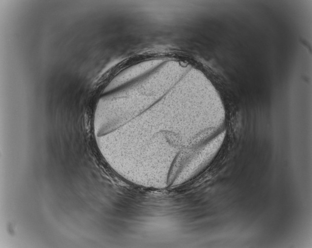 X0000098201206200805221533