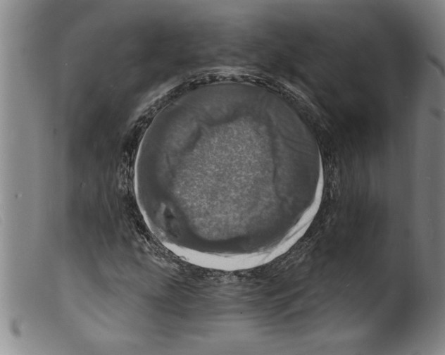 X0000098201207200805221533