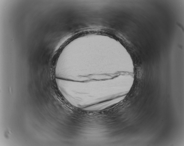 X0000098201208200805221533