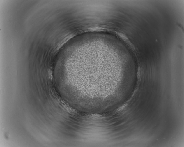 X0000098201209200805221533