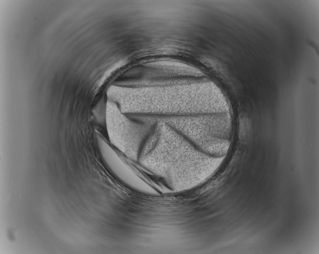 X0000098201210200805221533